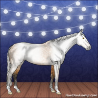 Horse Color:Gray Silver Buckskin 