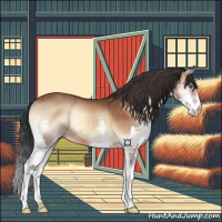 Horse Color:Bay Onyx Splash 