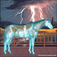 Horse Color:Thunderstruck Bay Splash 