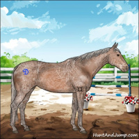 Horse Color:Silver Bay Ice 