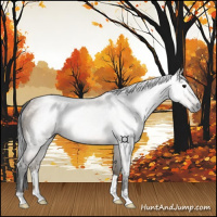 Horse Color:Gray Bay Dun 