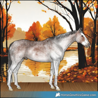 Horse Color:Gray White Spotted Bay Splash 