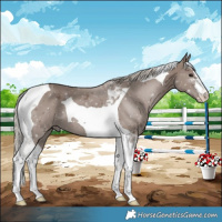 Horse Color:Silver Black Tobiano 
