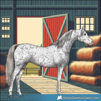 Horse Color:Liver Chestnut Snowflake Varnish