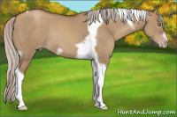 Horse Color:Gray Silver Classic Champagne Dun Tobiano Frame Rabicano