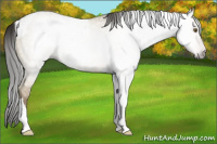 Horse Color:Gray Classic Cream Champagne Dun Tobiano 