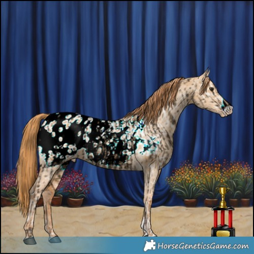 Horse Color:Void Red Dun Ice Blanket and Red Dun Ice Frame Blanket