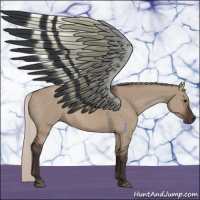 Horse Color:Silver Brown Dun 
