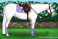 Horse Color:Gray Silver Smoky Creme 