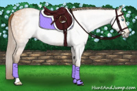 Horse Color:Gray Perlino 