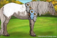 Horse Color:Silver Grullo Appaloosa 