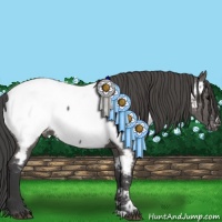 Horse Color:Grullo Near Fewspot 