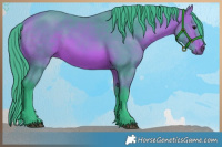 Horse Color:Watercolor Bay 