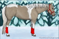 Horse Color:Silver Smoky Grullo Tobiano 
