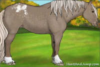 Horse Color:Silver Grullo Appaloosa 