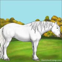 Horse Color:Silver Sable Cream Champagne Dun Appaloosa 