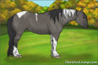 Horse Color:Grullo Tobiano 