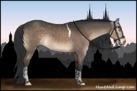 Horse Color:Brown Dun Tobiano