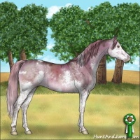 Horse Color:White Spotted Liver Red Dun Splash Tobiano Brindle 
