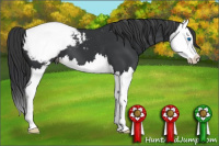 Horse Color:Black Splash Snowcap 