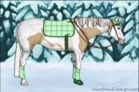 Horse Color:Palomino Dun Splash Tobiano