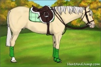 Horse Color:Silver Amber Cream Champagne Dun 