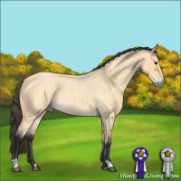 Horse Color:Buckskin Roan 