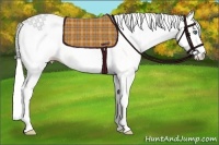 Horse Color:White Spotted Cremello Dun