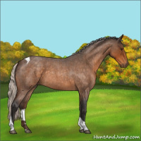 Horse Color:Silver Buckskin Roan Tobiano 