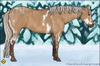 Horse Color:Silver Bay Dun Splash Tobiano Frame  Brindle