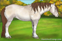 Horse Color:Smoky Blue Onyx Ice Pearl Tobiano
