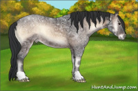 Horse Color:Brown Ice Onyx 