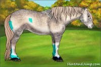 Horse Color:Liver Red Onyx Ice