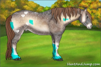 Horse Color:Liver Red Onyx Ice 