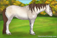 Horse Color:Smoky Blue Onyx Ice Pearl 