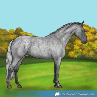 Horse Color:Silver Blue Chinchilla Roan 