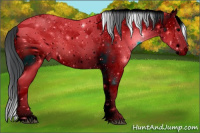 Horse Color:ERROR: UNKNOWN ANOMALY