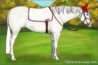 Horse Color:Cremello Dun 