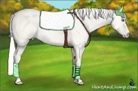 Horse Color:Silver Perlino Dun 