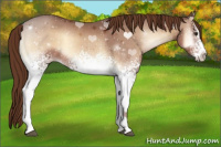 Horse Color:White Spotted Red Onyx 