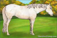 Horse Color:Palomino Ice Pearl 