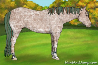 Horse Color:Painted Chestnut Ice