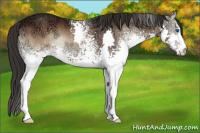 Horse Color:White Spotted Liver Red Onyx Ice Splash