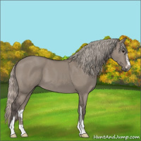 Horse Color:Silver Grullo Sabino 