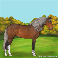Horse Color:Silver Buckskin 