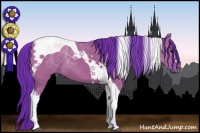 Horse Color:Watercolor Grullo Tobiano