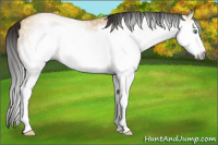 Horse Color:Gray Amber Cream Champagne Roan Splash Frame 