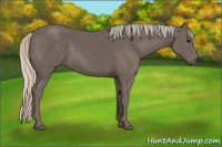 Horse Color:Silver Black 