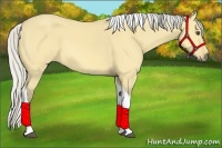 Horse Color:Silver Buckskin Dun Tobiano 