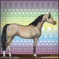 Horse Color:Liver Red Dun Sabino Rabicano 